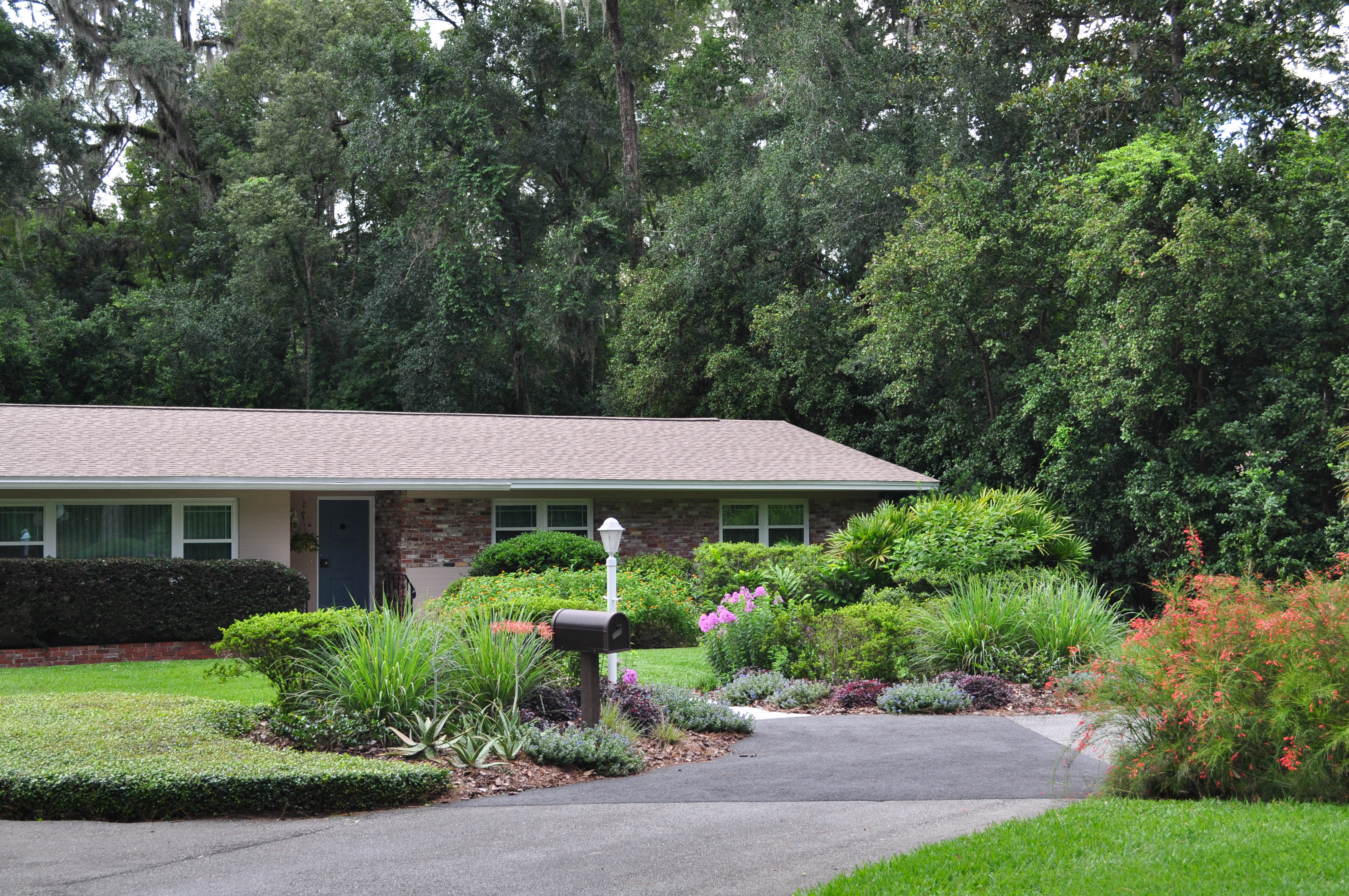 A beautiful Florida-friendly landscape yard centered around a mailbox.