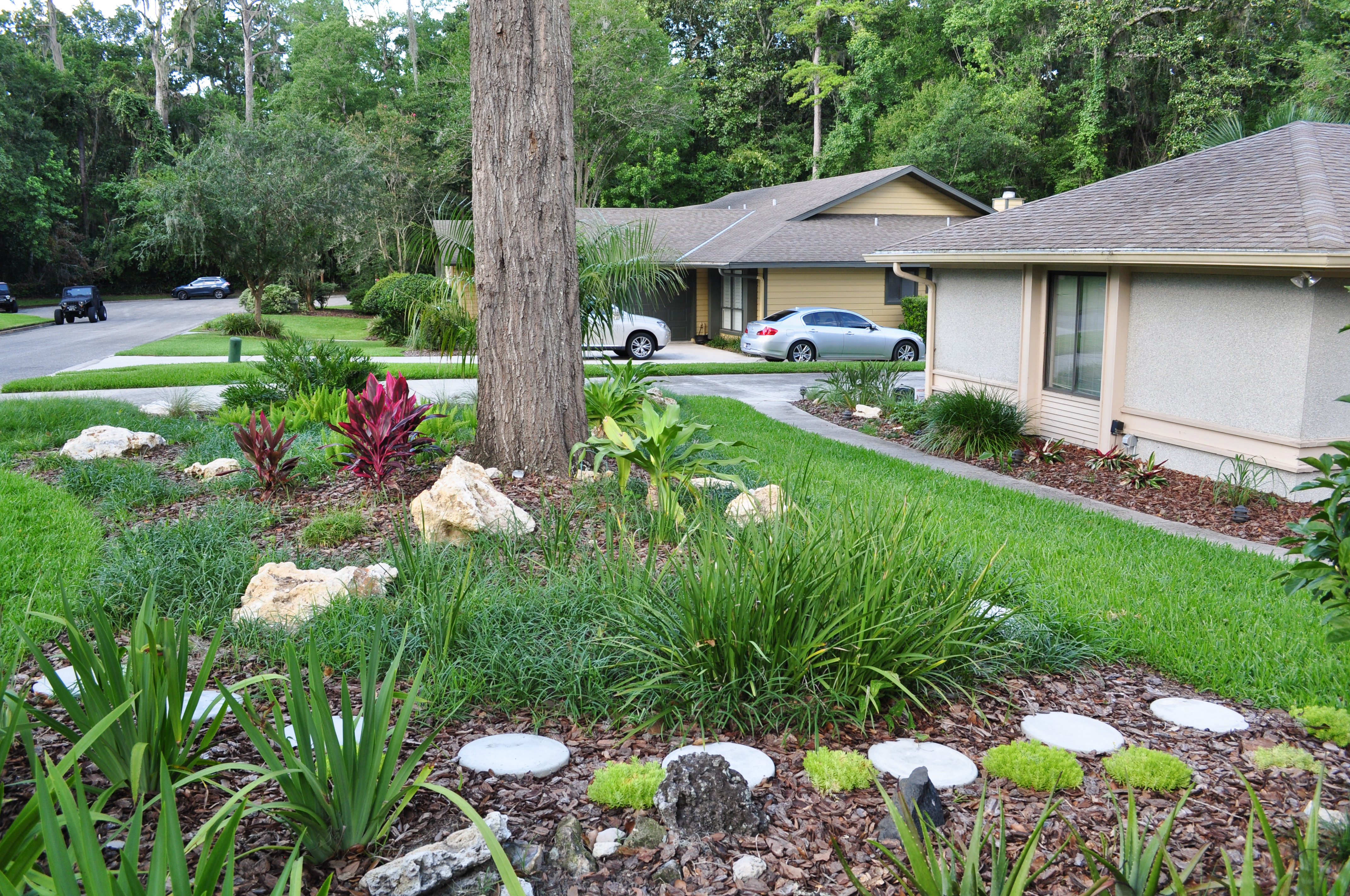 A beautiful Florida-friendly landscape yard with native plants