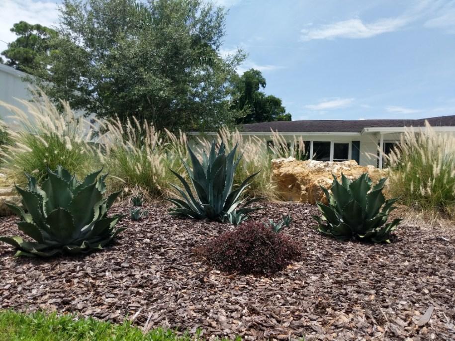 A beautiful Florida-friendly landscape yard with native plants.