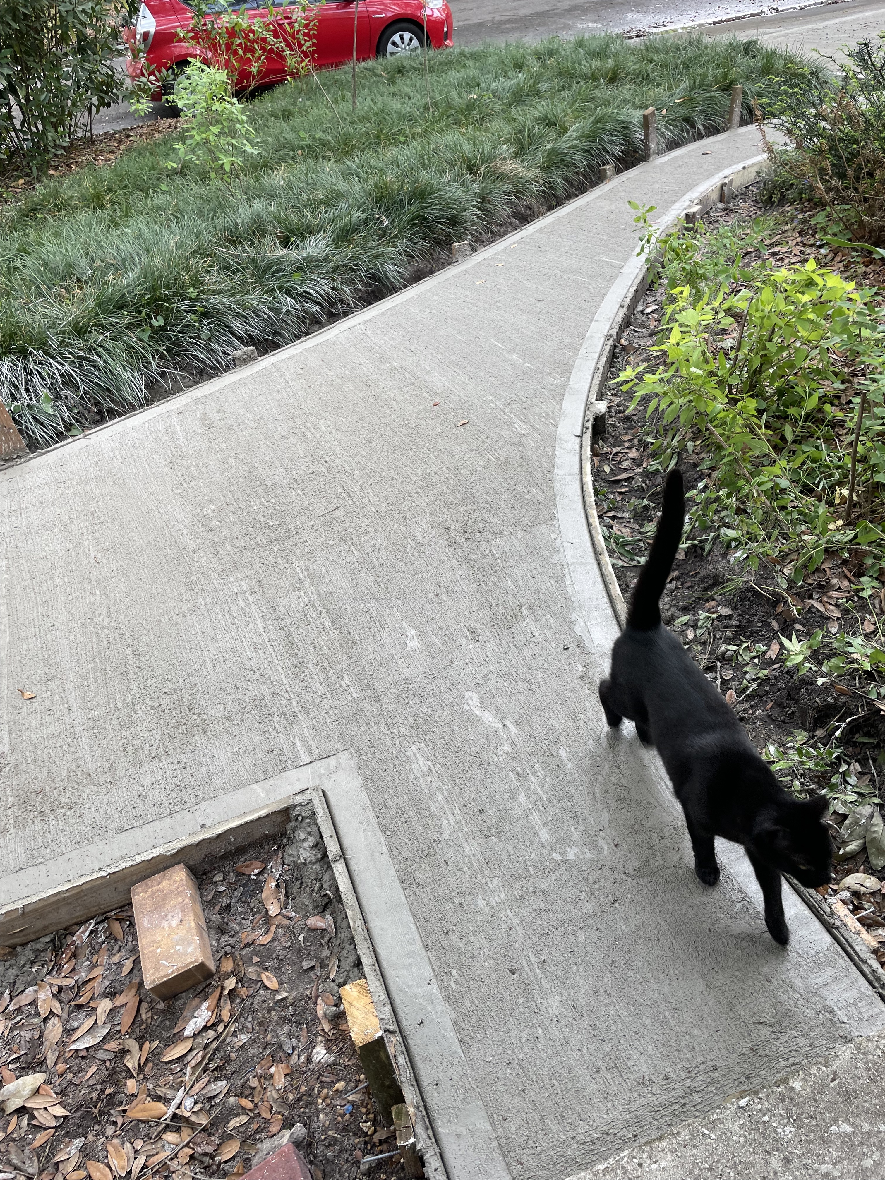 Poured concrete with paved border entry walk